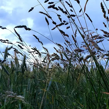 Rouet Nature Nocleg ze śniadaniem 3*