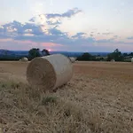 Rouet Nature 3* Trébas