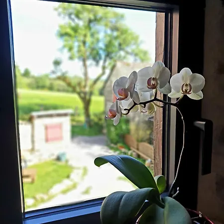 Rouet Nature 3* Trébas