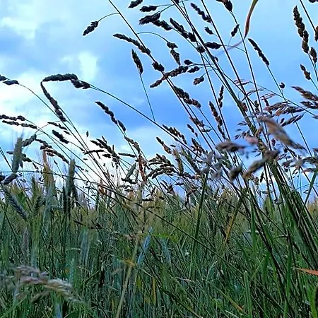 Rouet Nature 3* Trébas