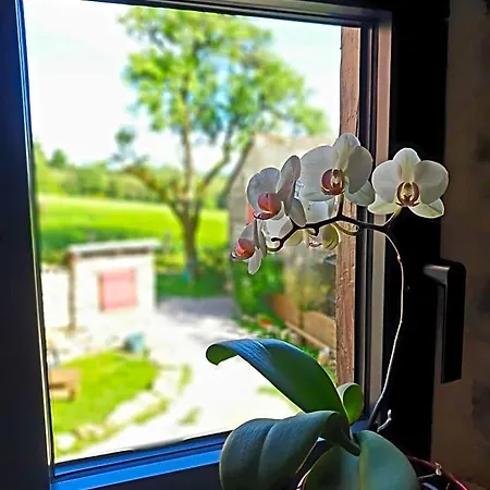 Rouet Nature