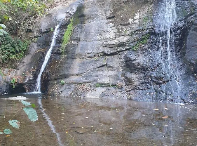 B&B Rouet Nature Trébas