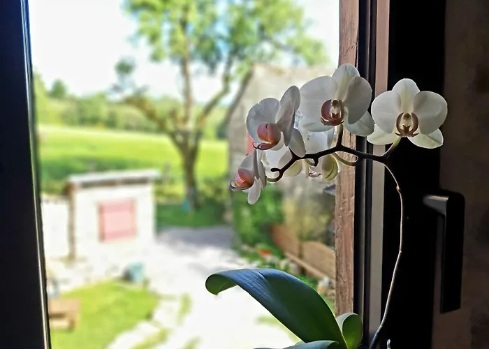 Rouet Nature 3* Trébas